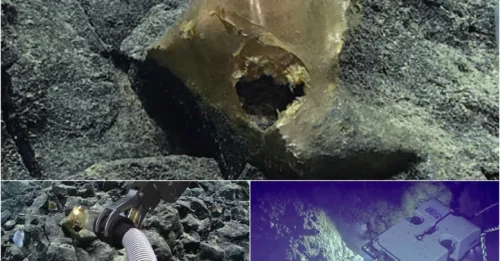 Scientists Baffled by Mysterious Golden Orb Discovered in Alaska’s Ocean Depths – Is It Alien or Ancient?