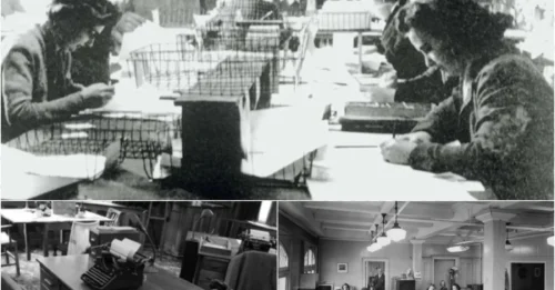 The long-hidden footage finally reveals the astonishing truth about British spies during World War II