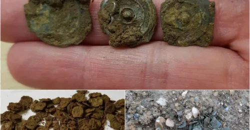 HS2’s Shocking Secret: Ancient Potin Hoard Sparks Furious Debate – Who Really Buried It?!