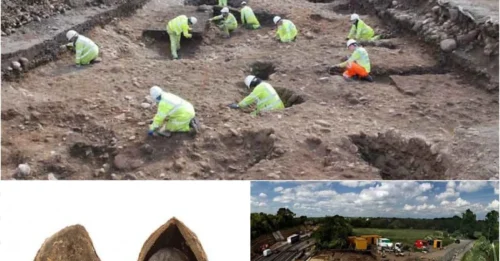 Scandal in the Dirt! Rome’s Lost Pistachio Exposed—Was This Forbidden Ancient Snack?