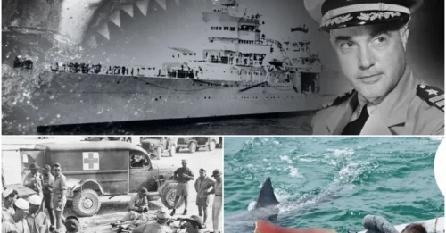 The USS Indianapolis Shark Attack: How The Sinking Of A World War II Ship Led To The Worst Feeding Frenzy In History