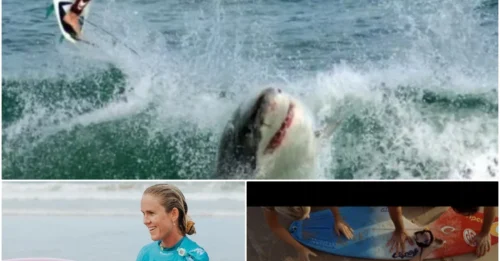 Bethany Hamilton: A shark took her arm, but it couldn’t take her courage—watch her rise with one hand.