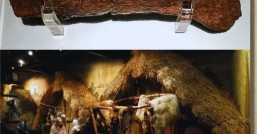 History's Grossest Treasure: Scientists Value 1,200-Year-Old Poop at $39,000!