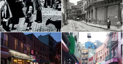 Hatchets And Blood: Scenes And Stories From The Deadliest Street In The United States