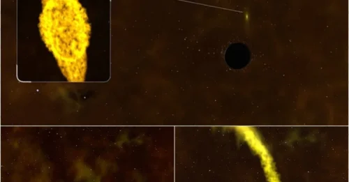 Cosmic Catastrophe Caught on Camera: The Moment a Star Is Crushed by a Black Hole!