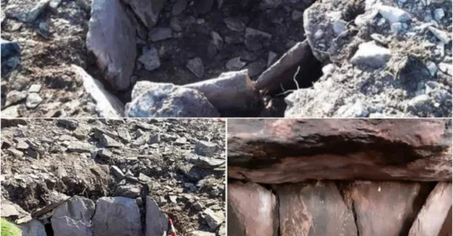 Irish Farmer Unearths Bizarre 2,000-Year-Old Tomb Containing an Unimaginable Treasure!