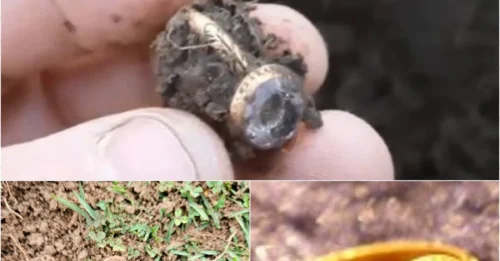 Treasure or Blood Money? English Civil War Ring Found on Isle of Man Holds Dark Secrets!