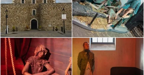18th century Ireland - The Dark Secret of Wicklow Gaol - Where Rebels Were Imprisoned and Became 'Prey' for the Shadows!