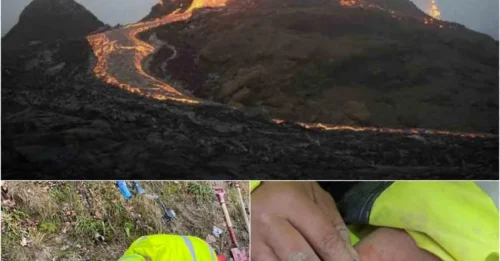 Shocking truth: Priceless gold pendants in Norway were deliberately buried – as part of a gruesome blood sacrifice ritual!