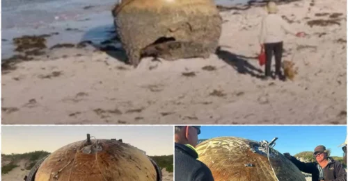 Horrifying Discovery on the Beach: UFO or Something Even More Terrifying Hidden Inside the Mysterious Metal Object?