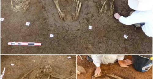 Mystery Unearthed: 113 Intact Ancient Tombs Discovered in Guadeloupe – Who Were They?
