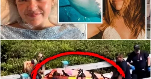 17-year-old girl punches shark with brass knuckles – Makes a miraculous escape off the coast of Florida!