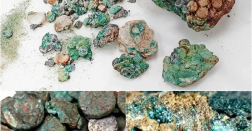 4th-Century Ancient Coin Treasure Discovered in Israel – Mystery Surrounds the World's Hottest Archaeological Site!