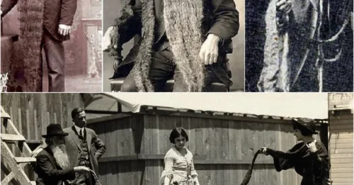 SMITHSONIAN’S DARKEST SECRET: The Disturbingly Long Beard Displayed as a Bizarre Relic!