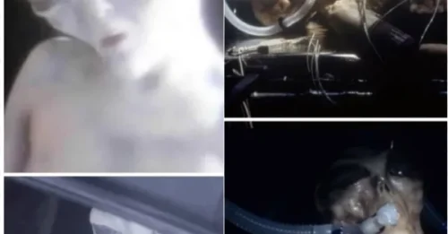 UFOs and aliens exist and we have evidence! – Says former Pentagon official.