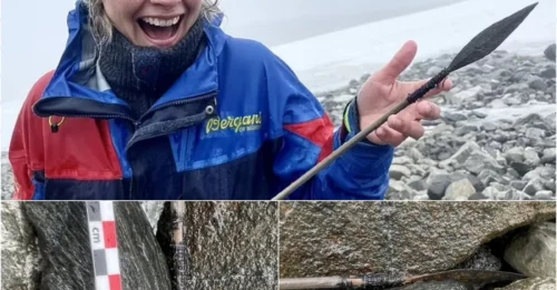 ICE REVEALS ITS SECRETS: Rare Pre-Viking Arrow Emerges After 1,500 Years – 