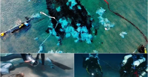 SHIPWRECK SCANDAL: 80ft ‘ghost ship’ reveals forbidden trade between Christians and Muslims—was history LIED to us?