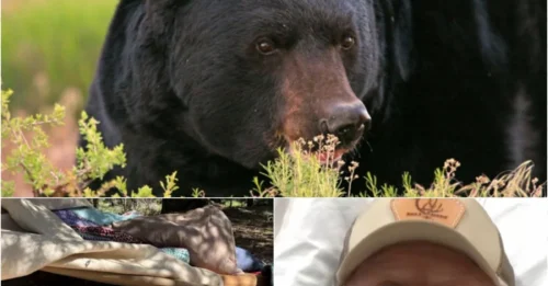 HORROR IN THE WOODS: Camper Takes On 'Maniac' Bear in Blood-Pumping Showdown!