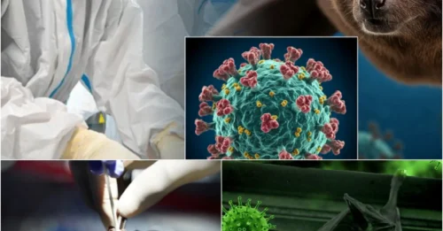 PANDEMIC WARNING: New Virus Detected in China's COVID-19 Suspect Species - History Repeating?