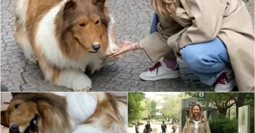 Man Spends $15K to Become a 'Dog' - But His Girlfriend Still Loves & Cares for Him!