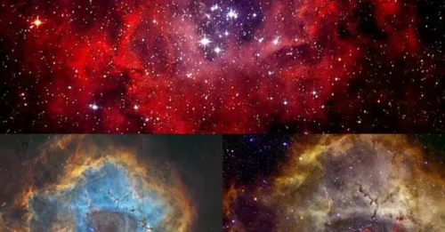 The Rosetta Nebula – a colossal 'stellar nursery' 5,000 light-years from Earth, where light and radiation craft a cosmic masterpiece!