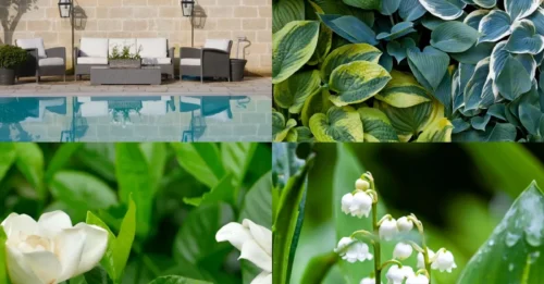 Placing these 5 types of plants near outdoor lights is inviting disaster – I lost hundreds of dollars and countless hours fixing the mess!