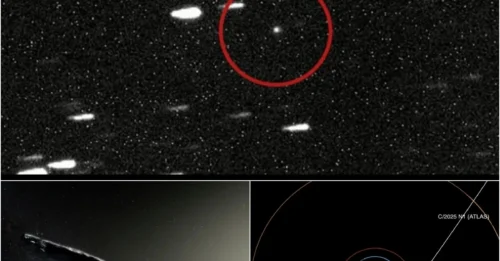 COSMIC BULLET: Massive Interstellar Object to Buzz Earth in December - NASA on High Alert!