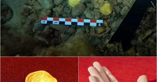Shocking Discovery: Diver Accidentally Steps on a 1,500-Year-Old Treasure from the Roman Empire!
