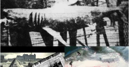 12 Days of Bloody Terror: The Horrifying Truth Behind the Jersey Shore Shark Attacks of 1916