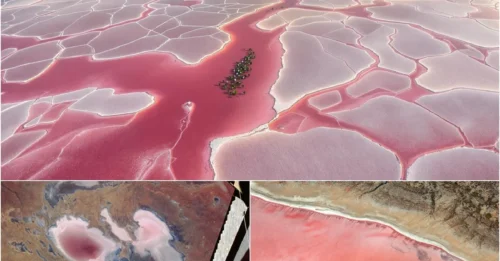 Something’s Not Right Here… Why Is This Giant Lake Suddenly Glowing an Eerie Peachy Pink?