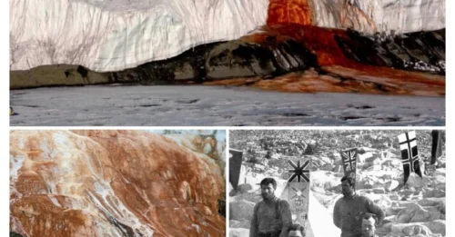 SHOCKING DISCOVERY: Antarctica’s Blood Falls – The Eerie Mystery of a Glacier Bleeding Red!