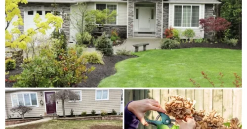 5 Front Yard Features That Are Always Eyesores, According to Designers