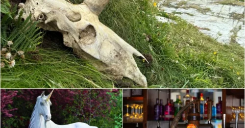 UNICORN SKULL FOUND? Mysterious Discovery Sparks Debate About Mythical Creatures!
