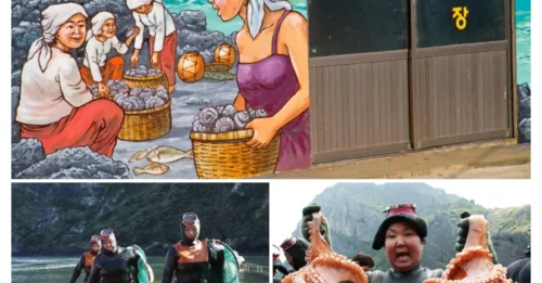 Inside The Breathtaking History Of The Haenyeo - The SHOCKING Story of the Forgotten Sea Warriors!