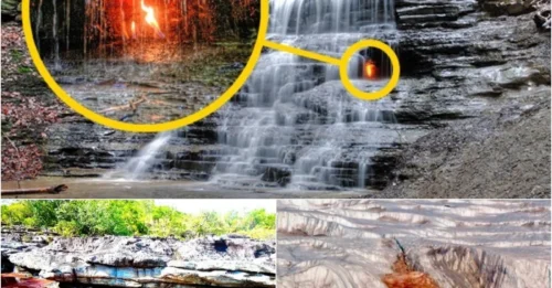 EARTH'S GREATEST MYSTERIES: 6 Bizarre Phenomena That Stump Even Top Scientists - #2 Will Blow Your Mind!