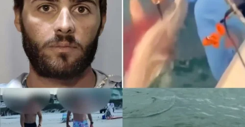 Blood in the Water! Florida Man’s Insane Shark ‘Revenge’ Stabbing Sparks Outrage