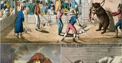 DARK HISTORY REVEALED: Archaeologists Unearth Brutal Truth Behind England’s Twisted 