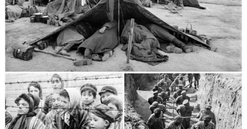 HIDDEN HORROR: The Dark Secret of America’s WWII German Death Camps