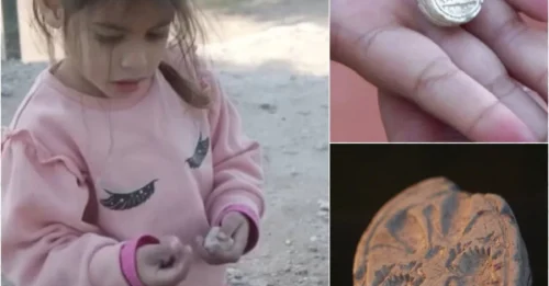 Miracle Unfolds: 3-Year-Old Girl Finds 3,800-Year-Old Artifact on the Biblical Battlefield Where David Defeated Goliath!