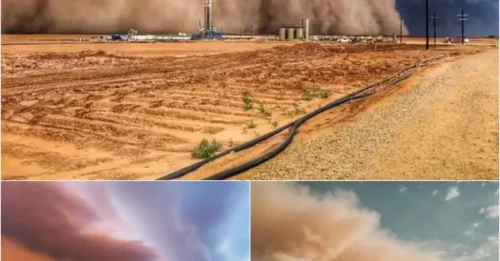 US Braces for Historic ‘Dustpocalypse’ – Florida Residents Witness Blood-Red Sun as Mega-Haboob Nears