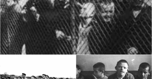 The Nazis’ Forgotten Holocaust: How Aktion T4 Secretly Executed 300,000 Disabled People Before the World Noticed