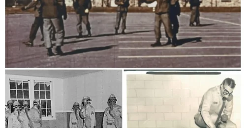 COLD WAR CRUELTY: The Disturbing Secrets  of Edgewood Arsenal’s Human Experiment Program!