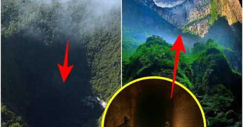 ANCIENT DOORWAY DISCOVERED: 5-Million-Year-Old Passage Reveals NON-HUMAN Fossils That Defy History!