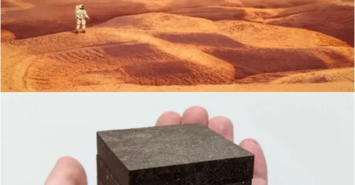 ALIEN ARCHITECTURE BREAKTHROUGH: Scientists Create LIVING Bricks for Space Colonies!