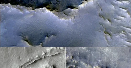 ALIEN LIFE CONFIRMED? 15,000-KM-LONG Evidence Stuns Scientists!