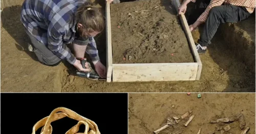 Mystery Solved? How a British Gold Ring Ended Up in a German Woman’s Grave 3,800 Years Ago