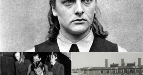 The Face of Pure Evil: Inside the Twisted Mind of Irma Grese, the Youngest and Most Feared Woman of the Holocaust -She Was Only 22