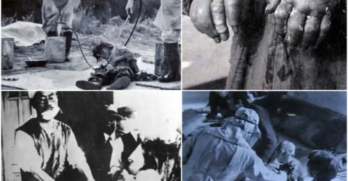 Inside the Hell on Earth: The Horrifying Experiments of Unit 731 During World War II That Shocked the World HL