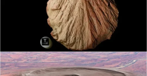 EARTH'S METEORITE COLLISION Could Hold Key to Finding Life on Mars!