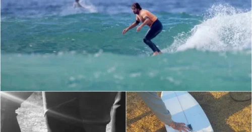 Close Call: First-Hand Account of Iluka Beach’s Terrifying Shark Encounter